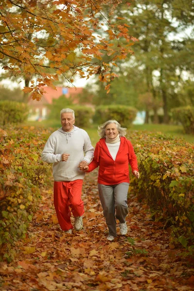 Senior couple jogging in  park — Stock Photo, Image