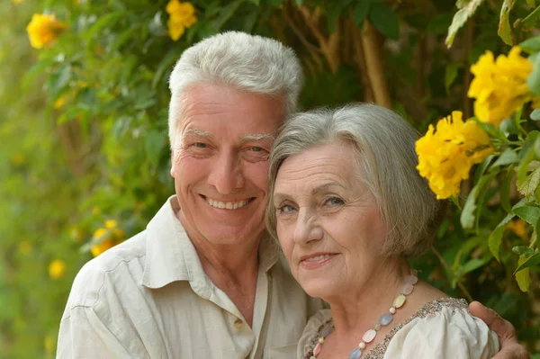 Senior couple smiling — Stock Photo, Image