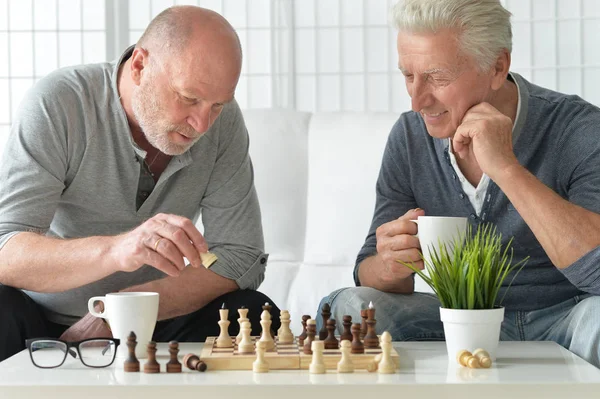 Senioren spielen Schach — Stockfoto