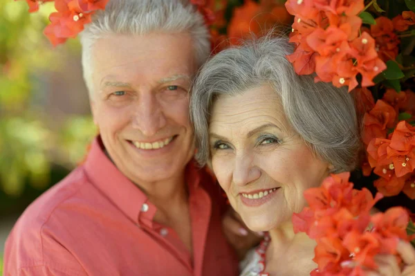 Senior couple smiling — Stock Photo, Image