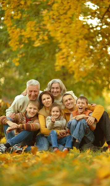 Grande famiglia avendo divertimento — Foto Stock