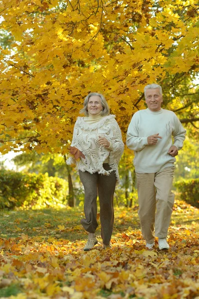 Senior couple relaxing  in park — Stock Photo, Image