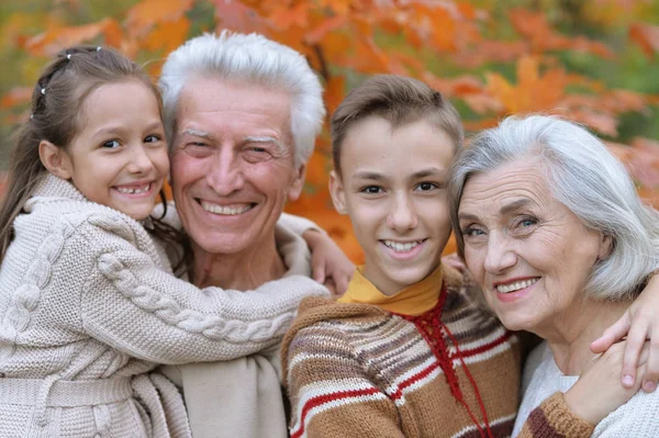 Grandfather, grandmother  and grandchildren    in park — Stock Photo, Image