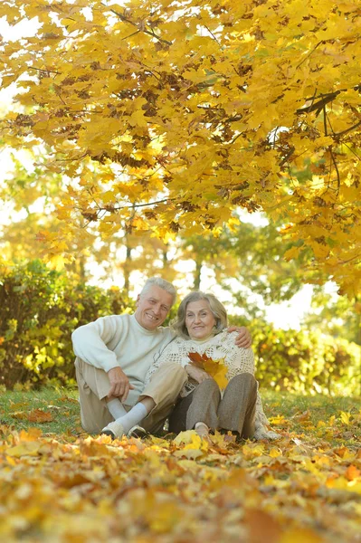 Seniorenpaar ontspannen in park — Stockfoto