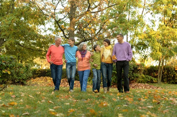 Stora familjen ha roligt — Stockfoto