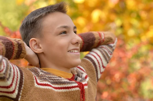 Boy in autumn park — Stock Photo, Image