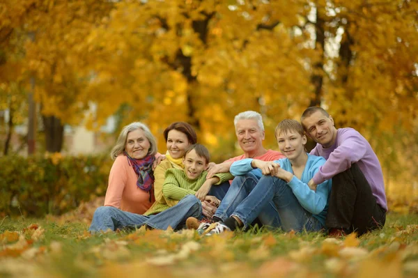 Grote familie plezier — Stockfoto