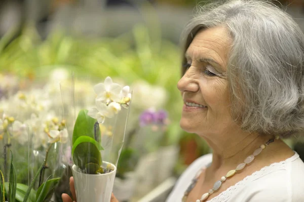 Bejaarde vrouw kiezen van bloemen — Stockfoto