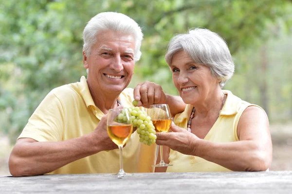 Anziani coppia bere vino — Foto Stock