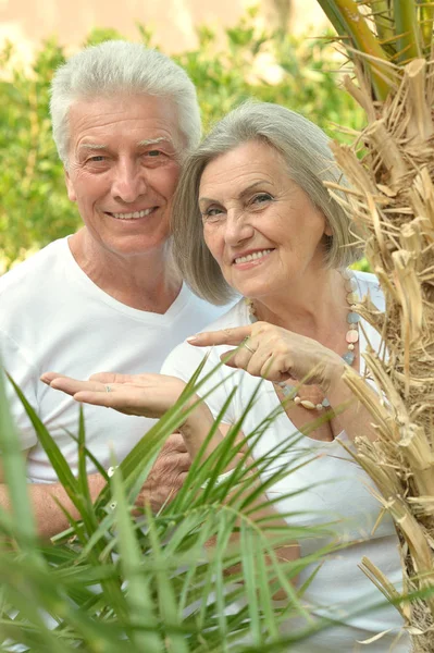 Carino felice coppia di anziani all'aperto — Foto Stock