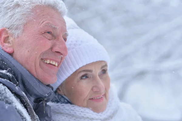 年长的夫妇，在冬季户外活动 — 图库照片