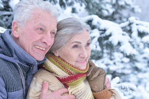 Senior paar winter in de open lucht — Stockfoto