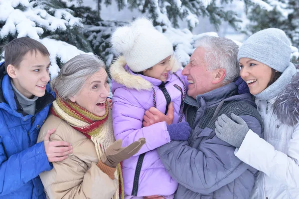 Retrato de familia feliz — Foto de Stock