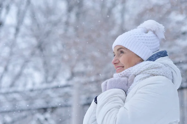 Žena v zimní oblečení pózuje — Stock fotografie