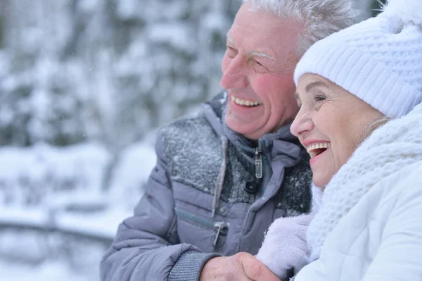 Pareja mayor en invierno al aire libre — Foto de Stock