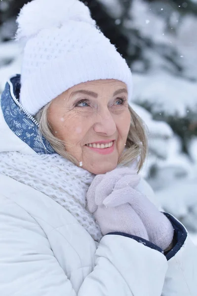 Vrouw in winterkleren poseren — Stockfoto