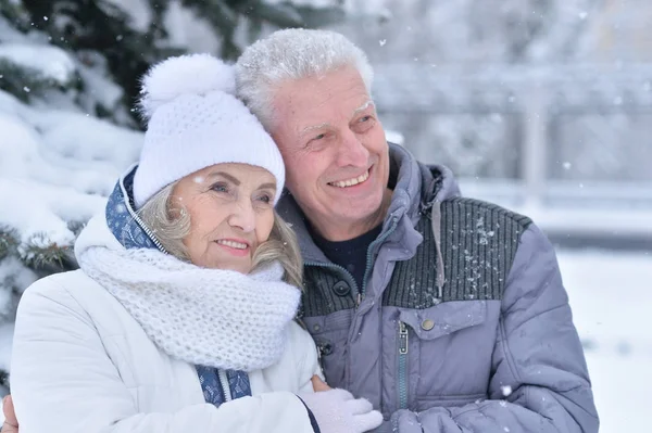 Coppia anziana all'aperto invernale — Foto Stock