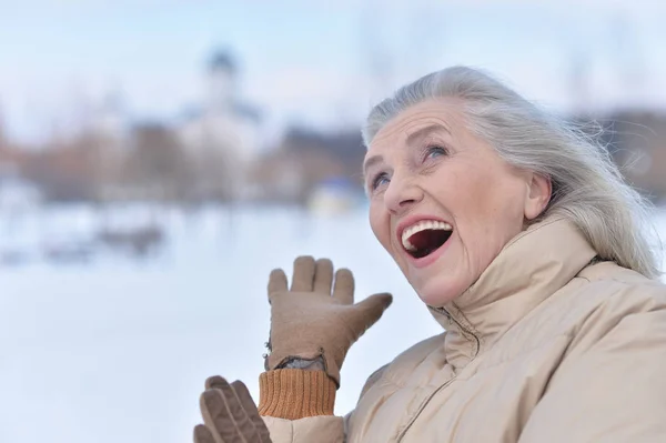 Woman in winter clothes posing — Stock Photo, Image