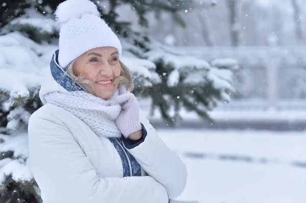 Жінка в зимовому одязі позує — стокове фото