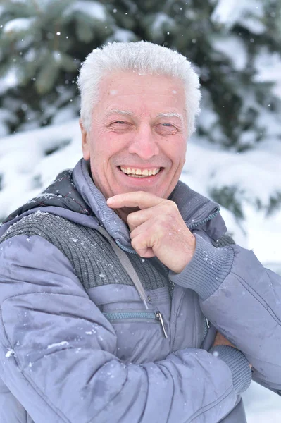 Портрет Улыбающегося Пожилого Человека Стоящего Улице Зимой — стоковое фото