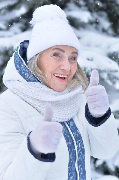 Frau in Winterkleidung posiert — Stockfoto