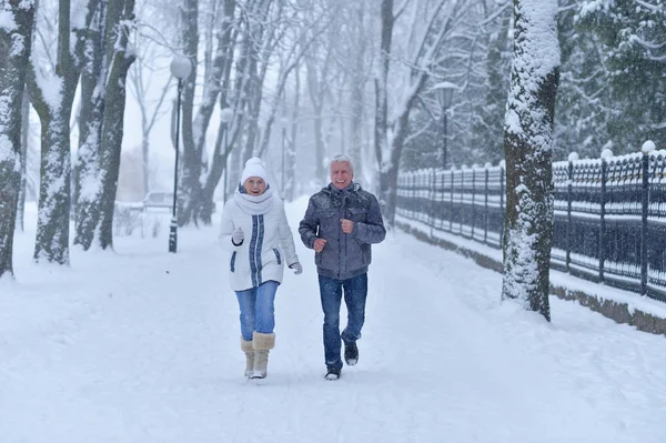 Äldre par på vintern utomhus — Stockfoto