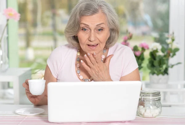 Evde Dizüstü Bilgisayarla Çalışan Yaşlı Bir Kadın — Stok fotoğraf