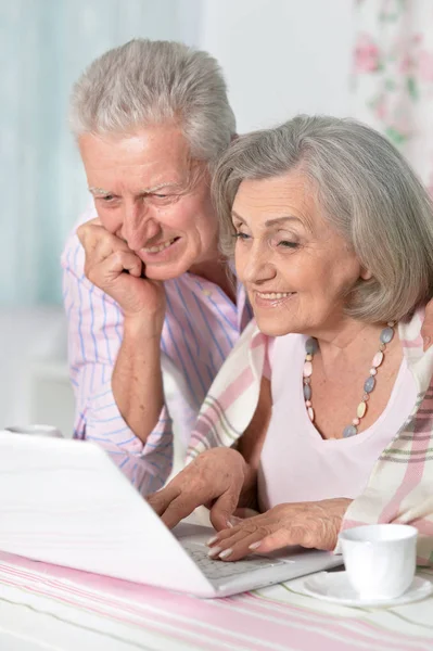 Portret Van Gelukkige Mooie Hoge Paar Laptop Thuis Gebruiken — Stockfoto