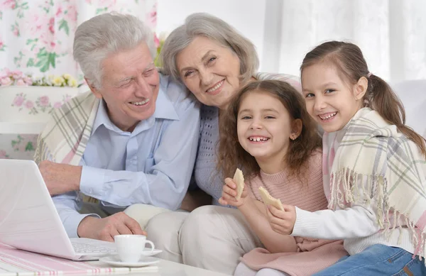 Portret Van Een Gelukkige Senior Paar Met Kleinkinderen Laptop Thuis — Stockfoto