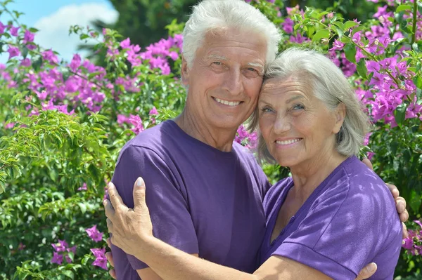 Nice Mature Couple Spring Park — Stock Photo, Image