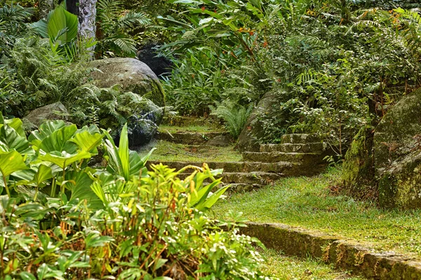 Vacker Grön Park Sommaren — Stockfoto