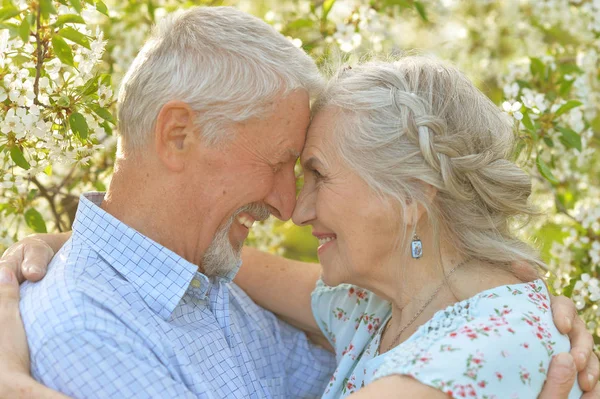 Feliz pareja de ancianos — Foto de Stock