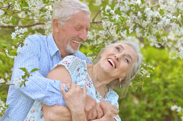 Outdoor Portret Van Gelukkige Senior Paar — Stockfoto