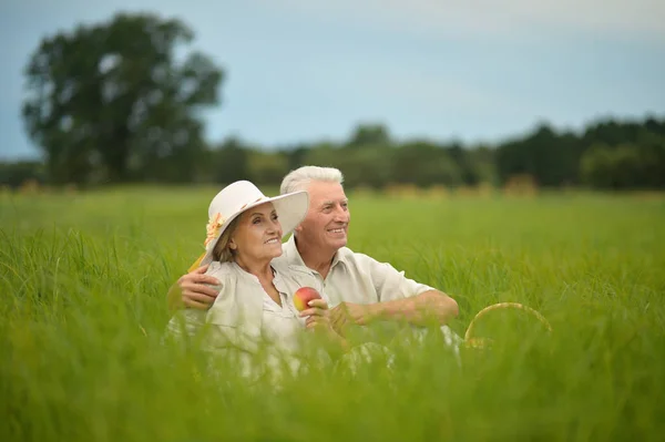 快乐的年长夫妇坐在绿色的草地上 — 图库照片