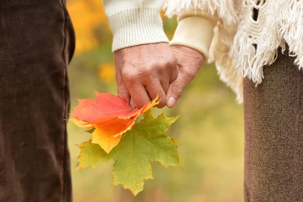 高齢者のカップルの秋の公園で手を繋いで — ストック写真