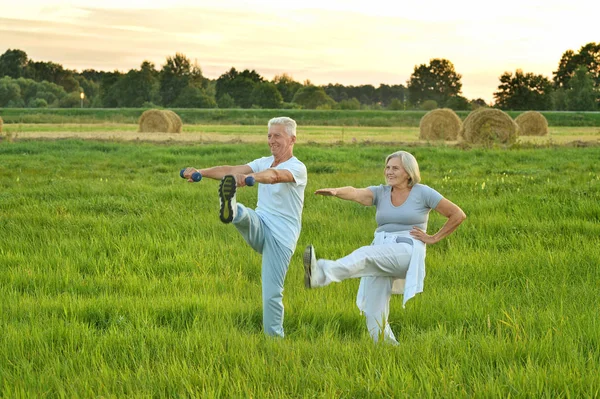 Feliz Pareja Ancianos Haciendo Ejercicios Parque Otoñal — Foto de Stock