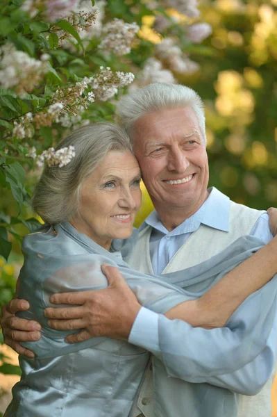 公園の美しい白人老夫婦の肖像画 — ストック写真