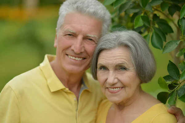 公園の美しい白人老夫婦の肖像画 — ストック写真