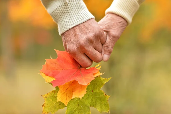 Ouderen Paar Bedrijf Handen Herfst Park — Stockfoto