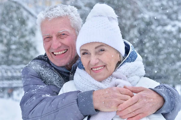 幸福的高级夫妇在冬季户外活动 — 图库照片