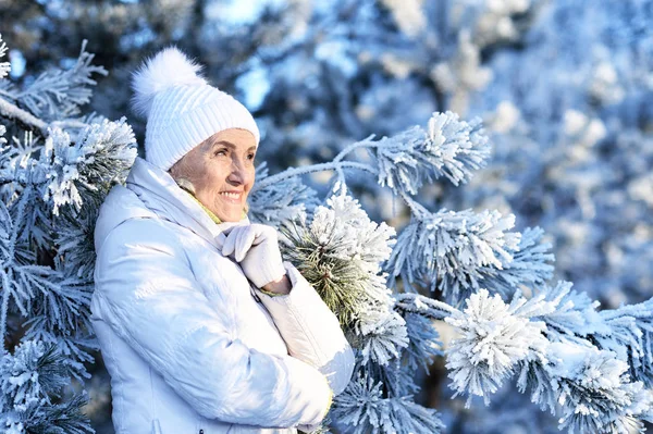 屋外で 良い気分でポーズの冬の服の熟女 — ストック写真