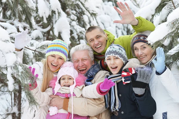 Famille dans le parc d'hiver — Photo