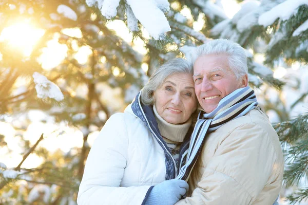 Glückliches Seniorenpaar Winter Draußen — Stockfoto