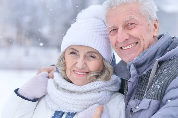 Gelukkige Senior Paar Winter Open Lucht — Stockfoto