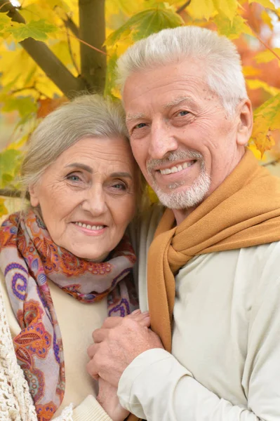 Portret Van Mooie Kaukasische Senior Paar Het Park — Stockfoto