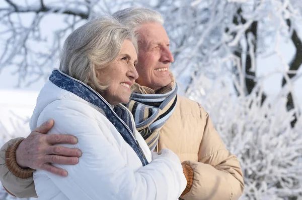 Gelukkige Senior Paar Winter Open Lucht — Stockfoto