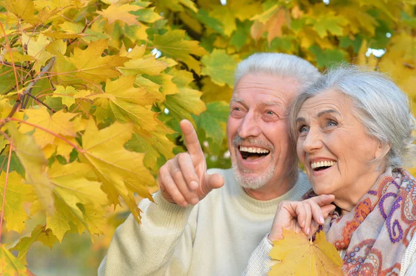 Portret Van Mooie Kaukasische Senior Paar Het Park — Stockfoto