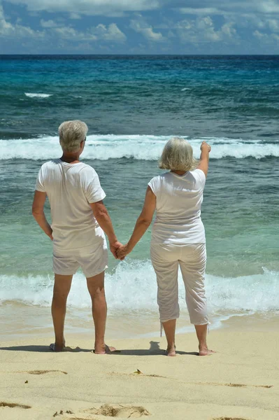 Rear View Elderly Couple Standing Sandy Beach Sunset — Stock Photo, Image