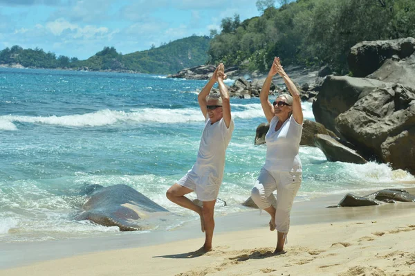 Casal sênior fazendo exercícios — Fotografia de Stock