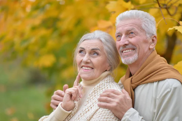 Portrait Beautiful Caucasian Senior Couple Park — Stock Photo, Image